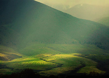 短信验证码轰炸免费